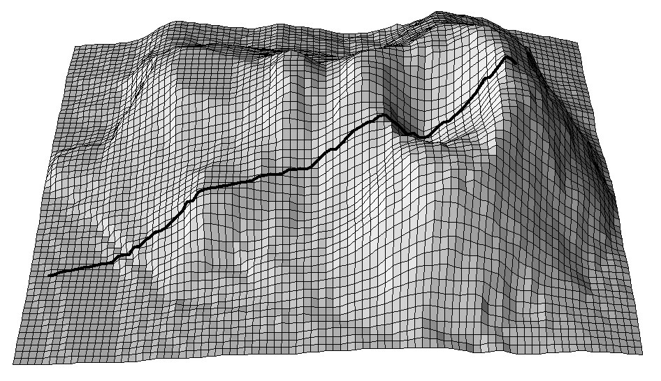 A cross-section for the Maungawhau volcano dataset commonly used in R to illustrate DEM and image analysis techniques.