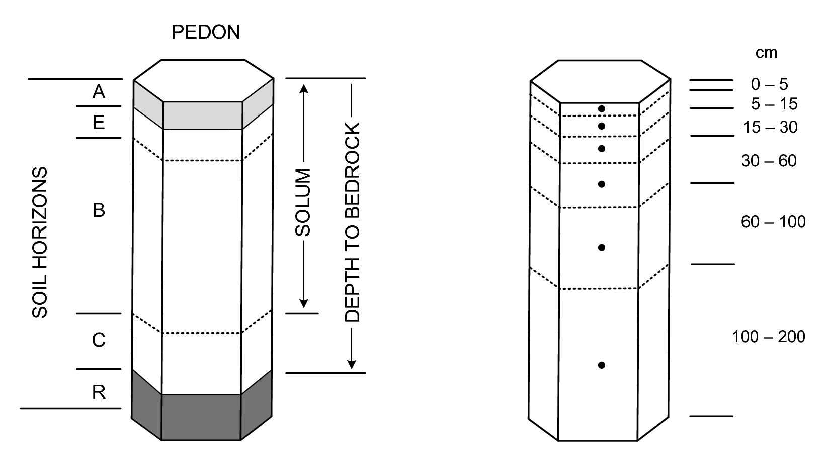 Standard soil horizons, solum thickness and depth to bedrock (left) vs six standard depths used in the GlobalSoilMap project (right).